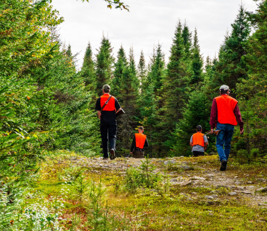 Per il Cncn la riforma delle afv è compatibile con la caccia sociale Per il Cncn la riforma delle afv è compatibile con la caccia sociale