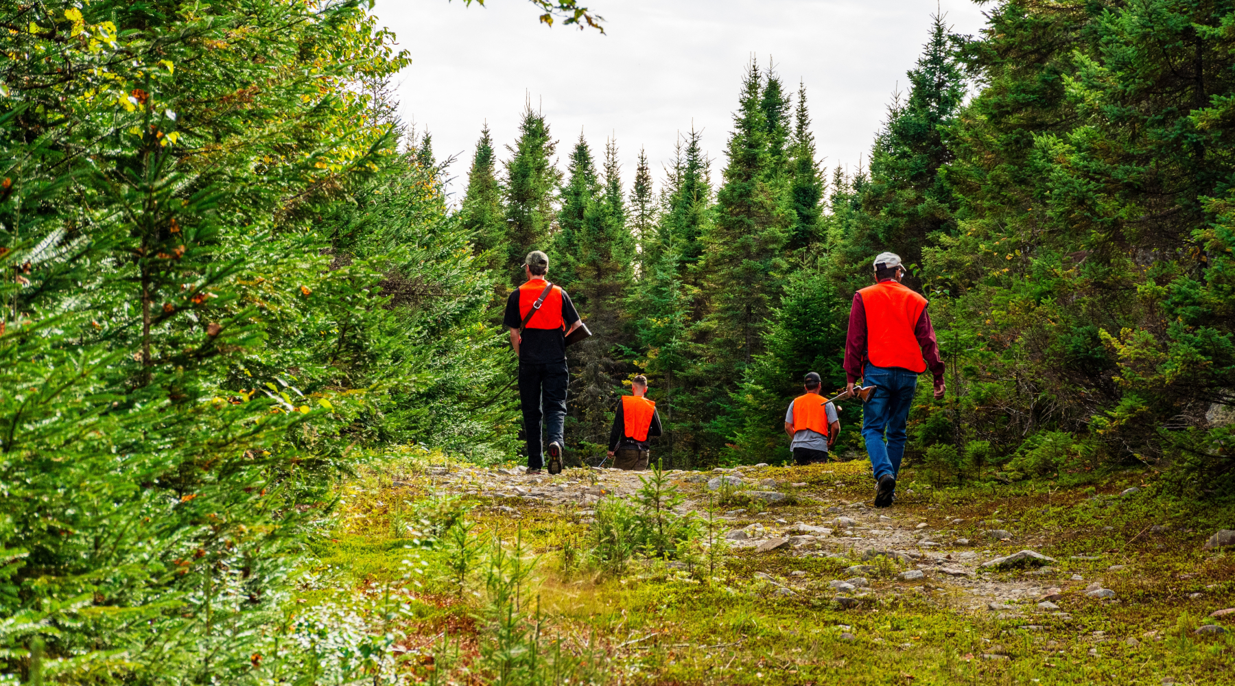 Per il Cncn la riforma delle afv è compatibile con la caccia sociale Per il Cncn la riforma delle afv è compatibile con la caccia sociale