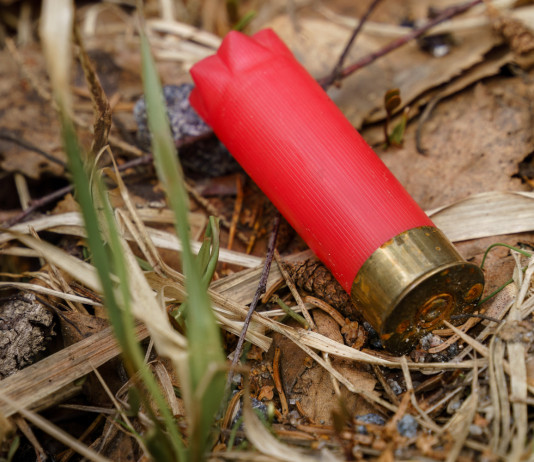 Ab: ecco i dettagli della nuova bozza sul divieto di usare munizioni in piombo Ab ecco i dettagli della nuova bozza sul divieto di usare munizioni in piombo