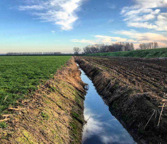 Bruzzone (Lega) interroga governo su regolamento sul ripristino della natura Bruzzone (Lega) interroga governo su regolamento sul ripristino della natura
