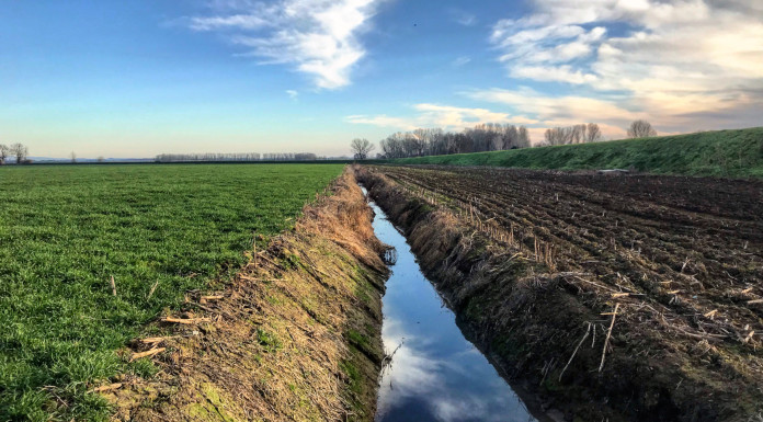 Bruzzone (Lega) interroga governo su regolamento sul ripristino della natura Bruzzone (Lega) interroga governo su regolamento sul ripristino della natura