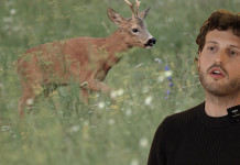 I calibri per la caccia al capriolo: il video della Caccia Magazine Academy I calibri per la caccia al capriolo il video della Caccia Magazine Academy