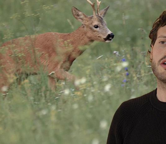 I calibri per la caccia al capriolo: il video della Caccia Magazine Academy I calibri per la caccia al capriolo il video della Caccia Magazine Academy