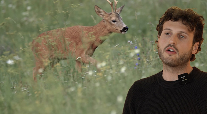 I calibri per la caccia al capriolo: il video della Caccia Magazine Academy I calibri per la caccia al capriolo il video della Caccia Magazine Academy