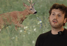 I calibri per la caccia al capriolo: il video della Caccia Magazine Academy I calibri per la caccia al capriolo video della Caccia Magazine Academy