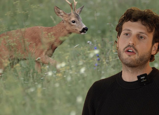 I calibri per la caccia al capriolo: il video della Caccia Magazine Academy I calibri per la caccia al capriolo video della Caccia Magazine Academy