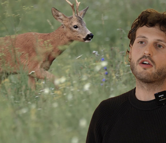 I calibri per la caccia al capriolo: il video della Caccia Magazine Academy I calibri per la caccia al capriolo video della Caccia Magazine Academy