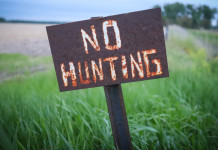 Lecito il divieto di caccia per le convinzioni etiche del proprietario del fondo agricolo Lecito il divieto di caccia per le convinzioni etiche del proprietario del fondo agricolo