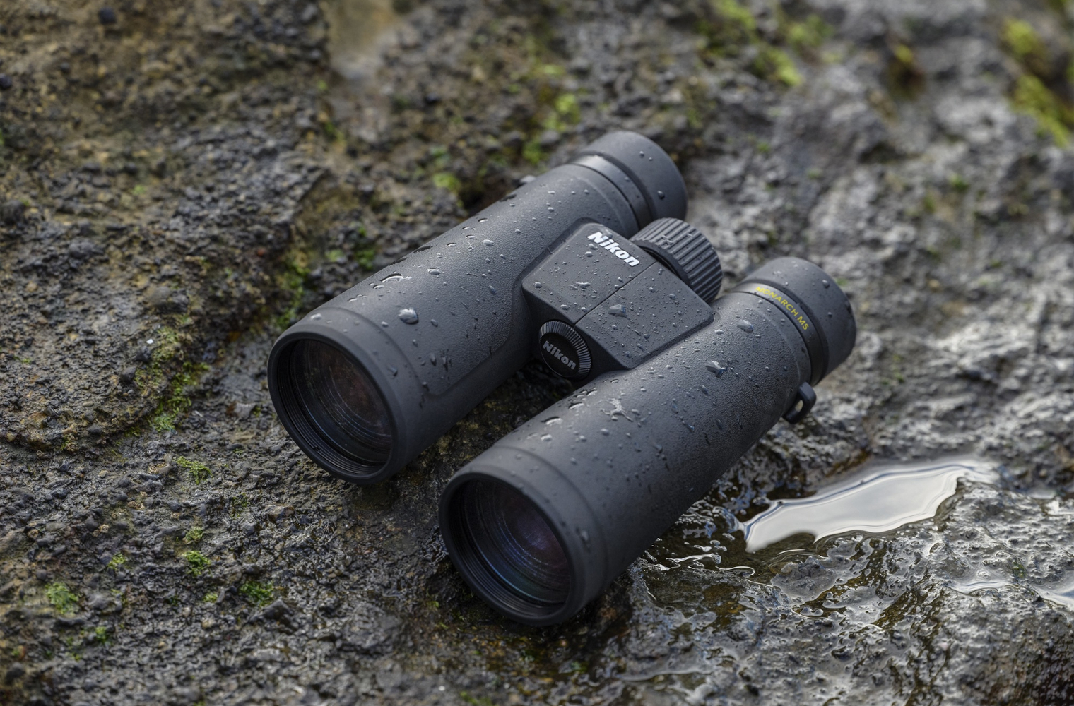 Nikon Monarch M5 10x50 e 12x50 Nikon Monarch M5 10x50 e 12x50