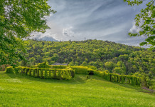 Ritirata la mozione di Fratelli d’Italia sulla riapertura dei roccoli in Lombardia Ritirata la mozione di Fratelli d’Italia sulla riapertura dei roccoli in Lombardia