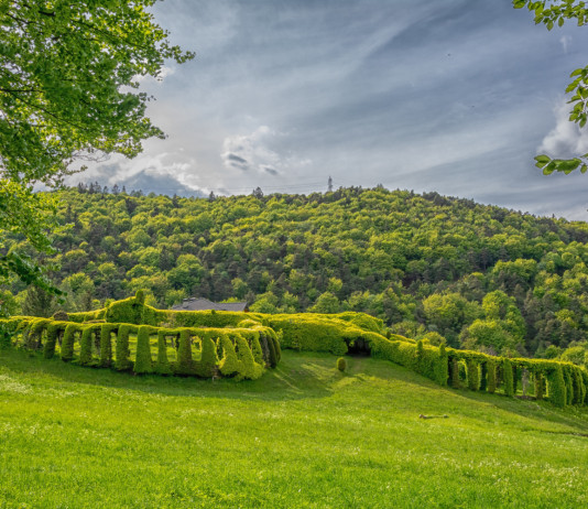 Ritirata la mozione di Fratelli d’Italia sulla riapertura dei roccoli in Lombardia Ritirata la mozione di Fratelli d’Italia sulla riapertura dei roccoli in Lombardia