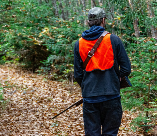 Sparvoli: su divieto di caccia e obiezione di coscienza «troppi toni trionfali» Sparvoli su divieto di caccia e obiezione di coscienza «troppi toni trionfali» - cacciatore di spalle, gilet alta visibilità