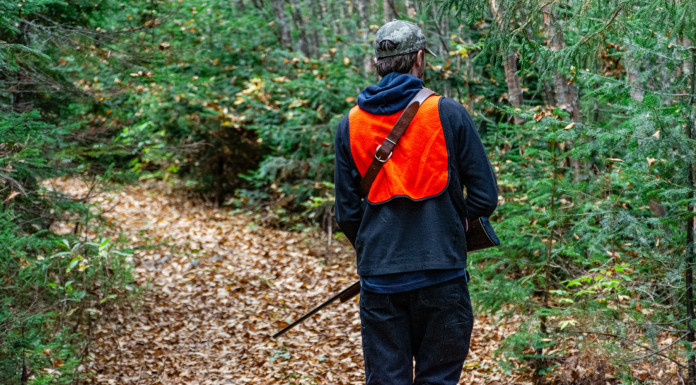 Sparvoli: su divieto di caccia e obiezione di coscienza «troppi toni trionfali» Sparvoli su divieto di caccia e obiezione di coscienza «troppi toni trionfali» - cacciatore di spalle, gilet alta visibilità