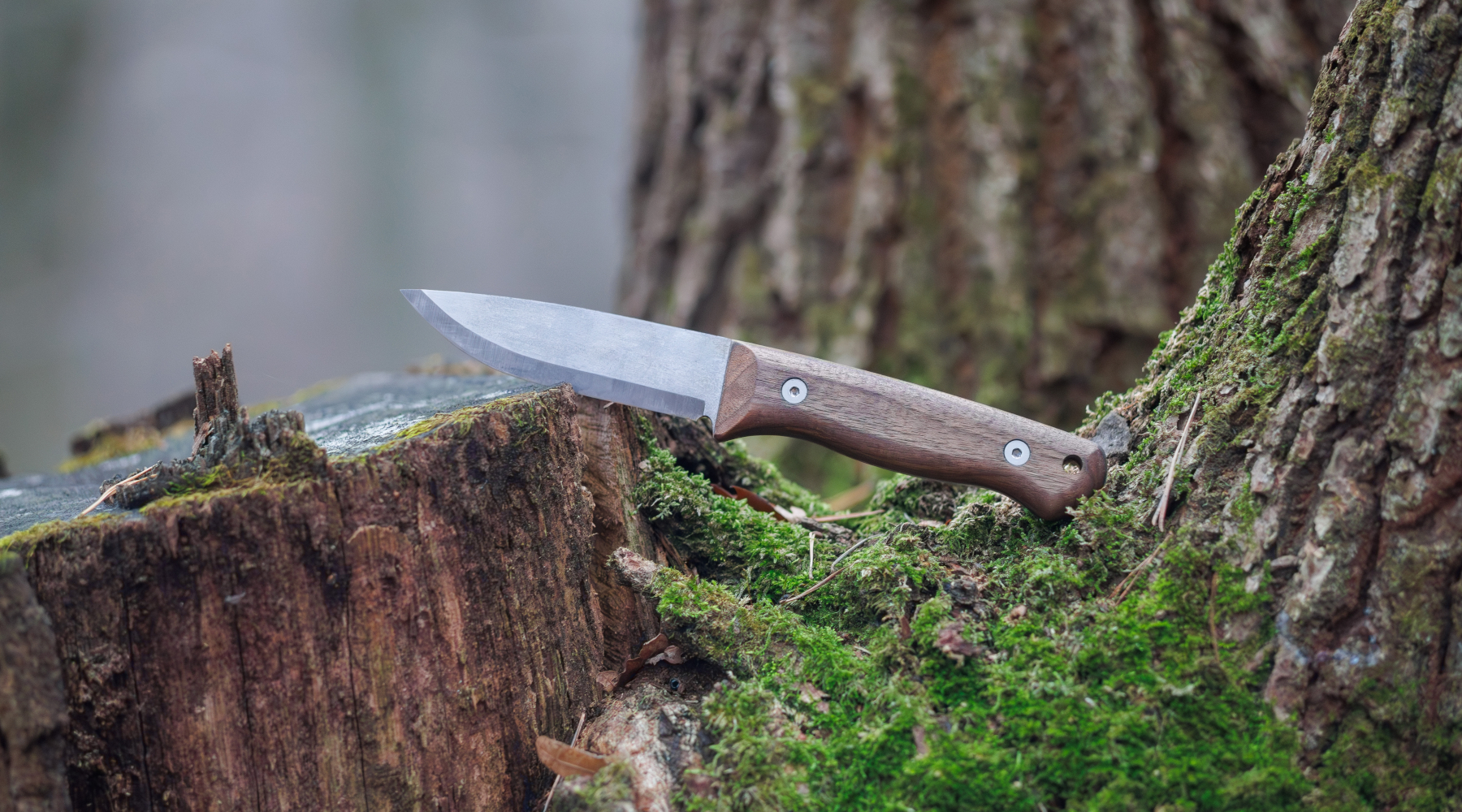 Stretta sui coltelli, Federcaccia lavora a emendamenti al decreto sicurezza Stretta sui coltelli, Federcaccia lavora a emendamenti al decreto sicurezza