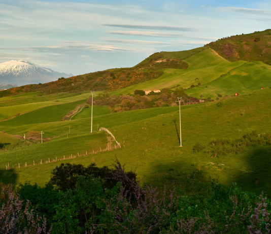Tragedia dei Nebrodi, per l’Enpa «si continua a morire di caccia» Tragedia dei Nebrodi, per l’Enpa «si continua a morire di caccia»