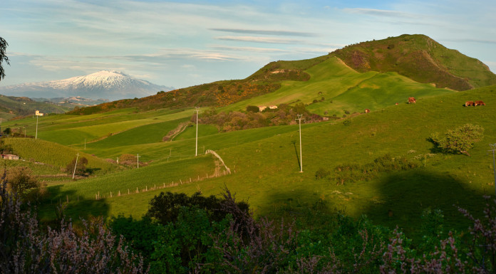 Tragedia dei Nebrodi, per l’Enpa «si continua a morire di caccia» Tragedia dei Nebrodi, per l’Enpa «si continua a morire di caccia»