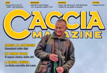 Caccia Magazine marzo 2026 caccia magazine marzo 2026