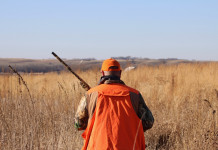 Arcicaccia: «Ridicole» le reazioni alla possibile incostituzionalità del comitato faunistico-venatorio Arcicaccia «Ridicole» le reazioni alla possibile incostituzionalità del comitato faunistico-venatorio - cacciatore di spalle con gilet arancione alta visibilità