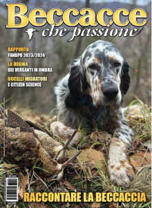 Beccacce che Passione 2 2026