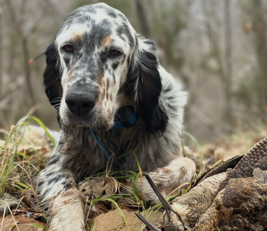 Beccacce che Passione 2 2026: la presentazione del nuovo numero Beccacce che Passione numero 2 2026