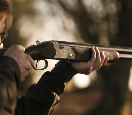 Beretta aggiorna il sovrapposto 687 Silver Pigeon III Beretta aggiorna il sovrapposto 687 Silver Pigeon III