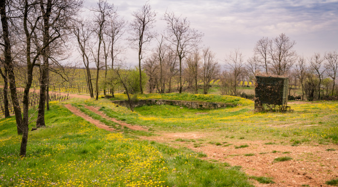 Cabina di regia Toscana: no sanzioni per ritardo nel rinnovo degli appostamenti Cabina di regia Toscana no sanzioni per ritardo nel rinnovo degli appostamenti
