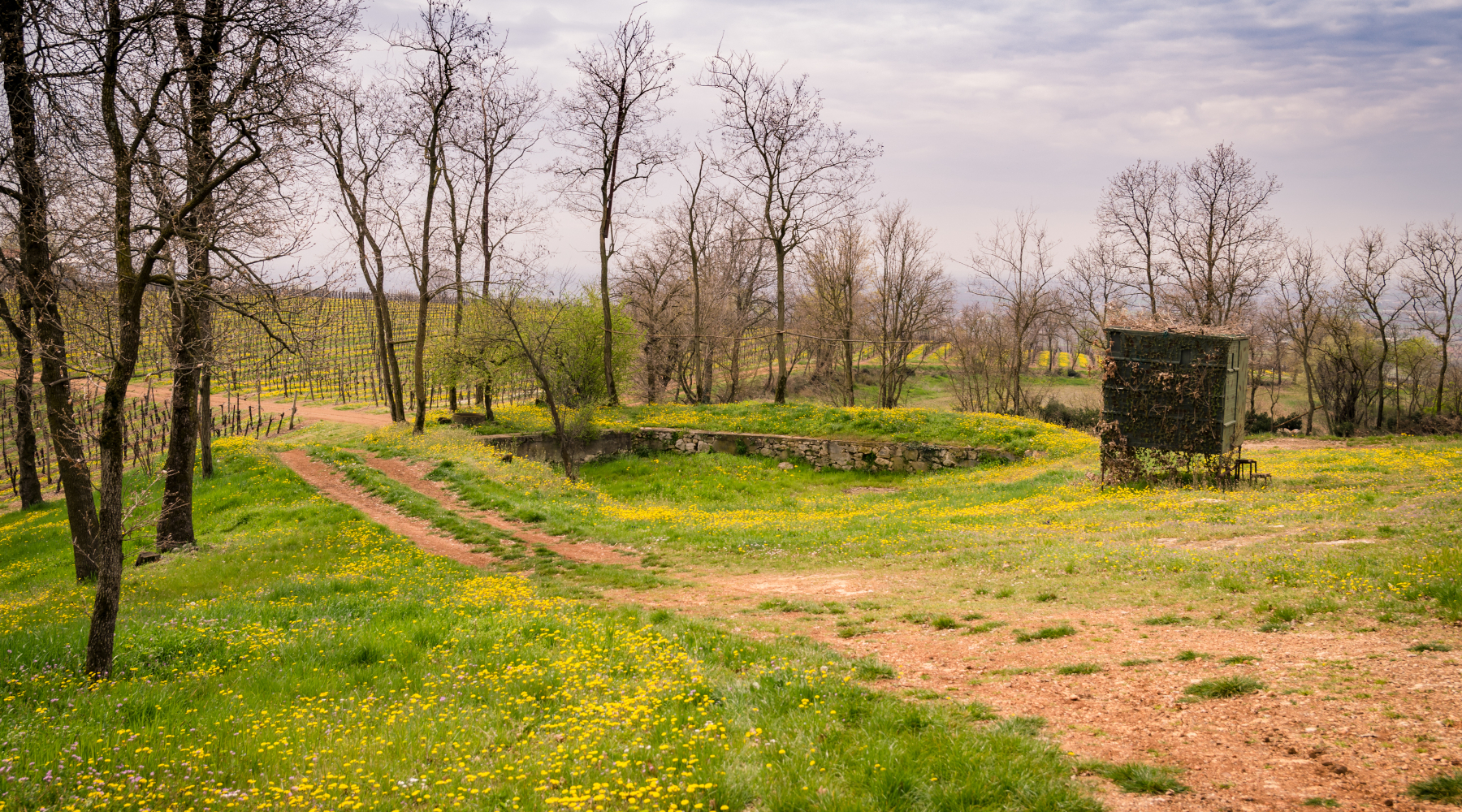Cabina di regia Toscana no sanzioni per ritardo nel rinnovo degli appostamenti Cabina di regia Toscana no sanzioni per ritardo nel rinnovo degli appostamenti