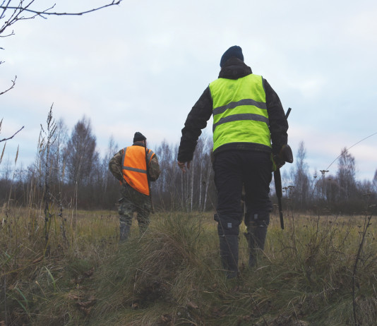 Carcasse di cani a Scossicci, la Federcaccia contesta gli attacchi ai cacciatori Carcasse di cani a Scossicci, la Federcaccia contesta gli attacchi ai cacciatori