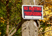 Enpa torna a chiedere restrizioni alla caccia Enpa torna a chiedere restrizioni alla caccia