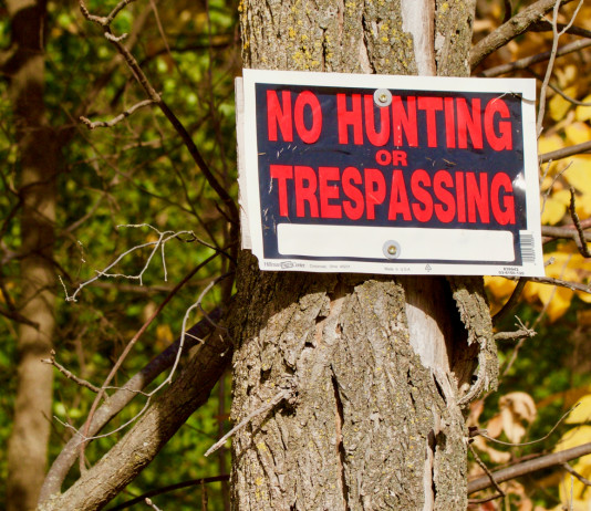 Enpa torna a chiedere restrizioni alla caccia Enpa torna a chiedere restrizioni alla caccia