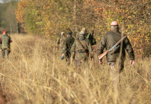 Proseguono i lavori del comitato faunistico-venatorio nazionale Proseguono i lavori del comitato faunistico-venatorio nazionale - cacciatori nel bosco
