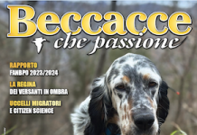 Beccacce che Passione numero 2 2026 vi aspetta in edicola Beccacce che Passione numero 2 2026