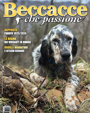 Beccacce che Passione numero 2 2026 vi aspetta in edicola Beccacce che Passione numero 2 2026