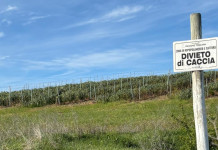 Amidei (Fratelli d’Italia): divieto di caccia entro trecento metri da agriturismi Amidei (Fratelli d’Italia) divieto di caccia entro trecento metri da agriturismi - cartello divieto di caccia