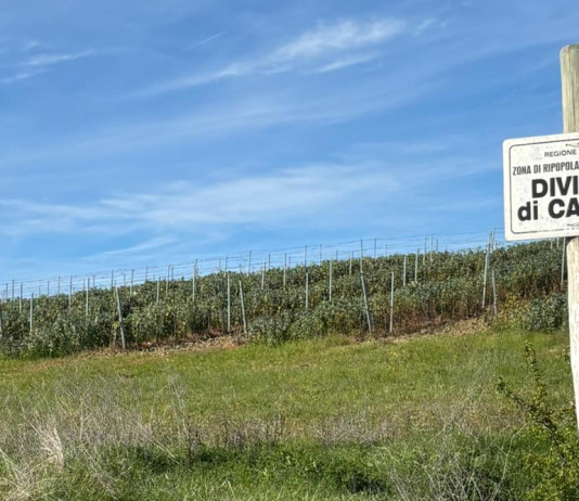 Amidei (Fratelli d’Italia): divieto di caccia entro trecento metri da agriturismi Amidei (Fratelli d’Italia) divieto di caccia entro trecento metri da agriturismi - cartello divieto di caccia