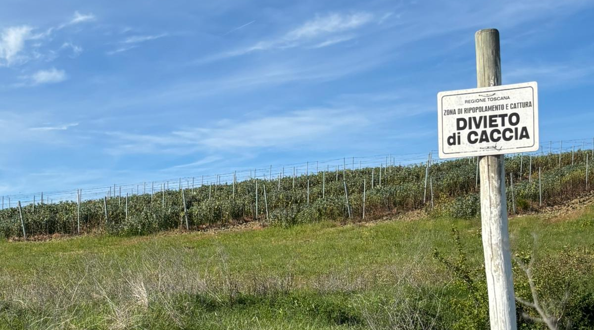 Amidei (Fratelli d’Italia) divieto di caccia entro trecento metri da agriturismi Amidei (Fratelli d’Italia) divieto di caccia entro trecento metri da agriturismi - cartello divieto di caccia