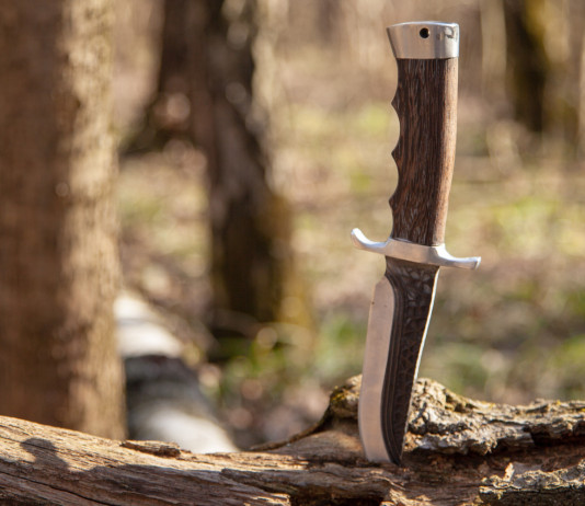 Anticipazione del Sole 24 Ore: ecco l’emendamento del governo sui coltelli Anticipazione del Sole 24 Ore ecco l’emendamento del governo sui coltelli