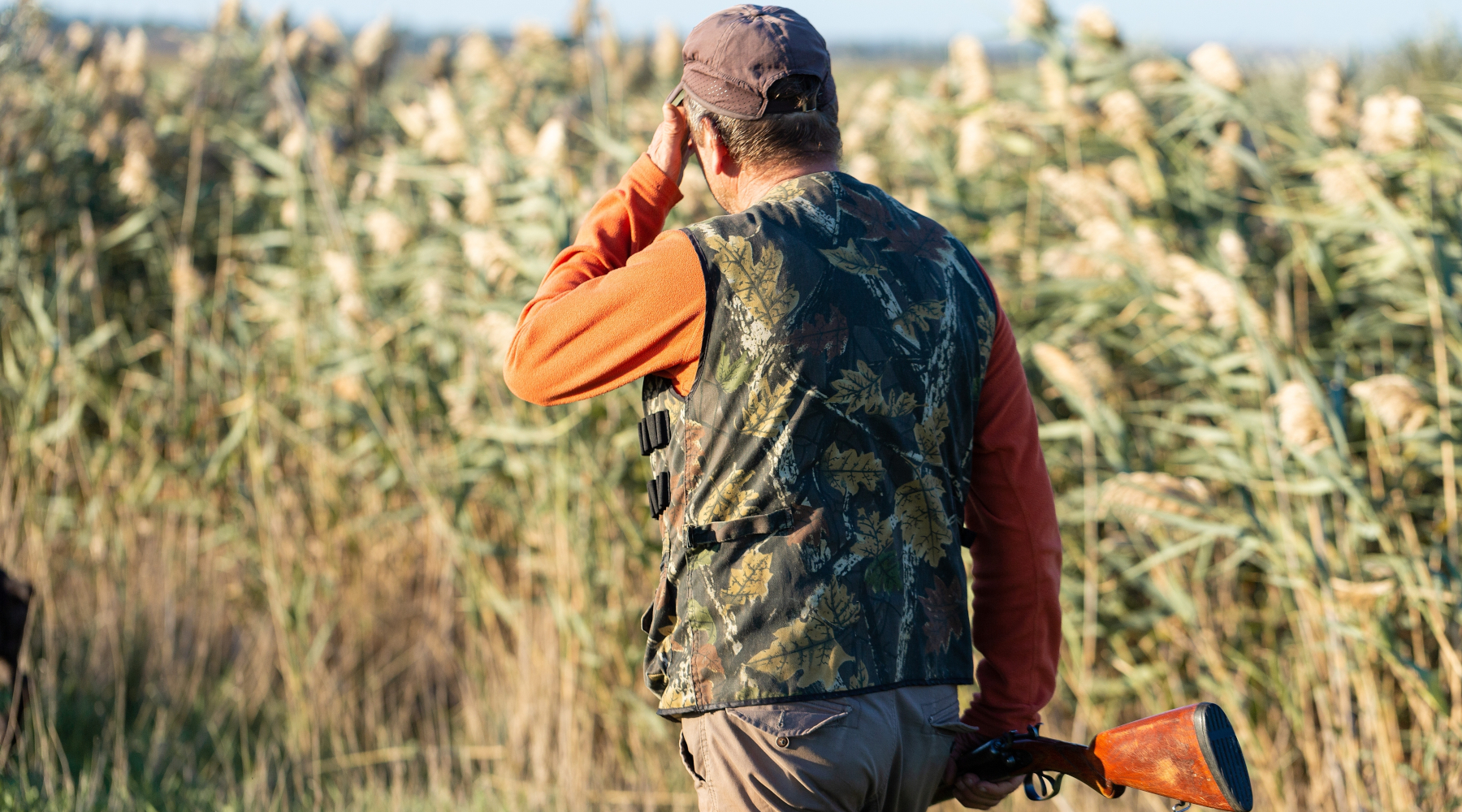 Berlato (Acr) attacca le associazioni venatorie riconosciute Berlato (Acr) attacca le associazioni venatorie riconosciute - cacciatore di spalle