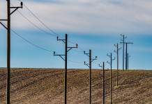 Buconi (Fidc) esprime «fastidio e disgusto» per i commenti sui gemelli morti folgorati Buconi (Fidc) esprime «fastidio e disgusto» per i commenti sui gemelli morti folgorati - pali corrente