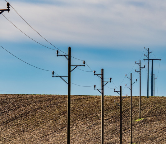 Buconi (Fidc) esprime «fastidio e disgusto» per i commenti sui gemelli morti folgorati Buconi (Fidc) esprime «fastidio e disgusto» per i commenti sui gemelli morti folgorati - pali corrente