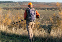 Confavi critica l’impianto della riforma della legge sulla caccia Confavi critica l’impianto della riforma della legge sulla caccia