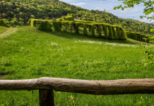 Consiglio Lombardia approva mozione sulla riapertura dei roccoli Consiglio Lombardia approva mozione sulla riapertura dei roccoli