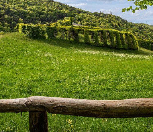 Consiglio Lombardia approva mozione sulla riapertura dei roccoli Consiglio Lombardia approva mozione sulla riapertura dei roccoli