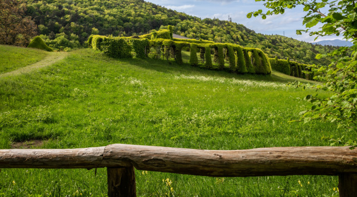 Consiglio Lombardia approva mozione sulla riapertura dei roccoli Consiglio Lombardia approva mozione sulla riapertura dei roccoli