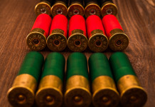 Dal centrodestra emendamento restrittivo sulle munizioni in piombo nelle zone umide Dal centrodestra emendamento restrittivo sulle munizioni in piombo nelle zone umide