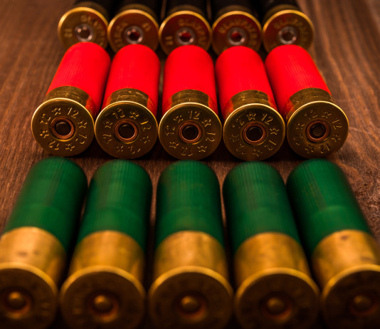 Dal centrodestra emendamento restrittivo sulle munizioni in piombo nelle zone umide Dal centrodestra emendamento restrittivo sulle munizioni in piombo nelle zone umide