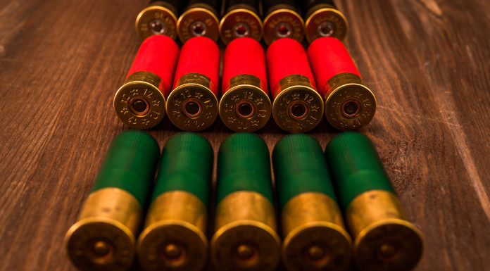 Dal centrodestra emendamento restrittivo sulle munizioni in piombo nelle zone umide Dal centrodestra emendamento restrittivo sulle munizioni in piombo nelle zone umide