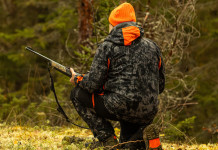 Emendamento dei relatori sulla composizione del comitato faunistico-venatorio nazionale Emendamento dei relatori sulla composizione del comitato faunistico-venatorio nazionale - cacciatore di spalle, con cappello arancione e fucile in mano