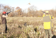 Franchi Affinity 3 X calibro 12: il video del test a caccia Franchi Affinity 3 X calibro 12 il video del test a caccia