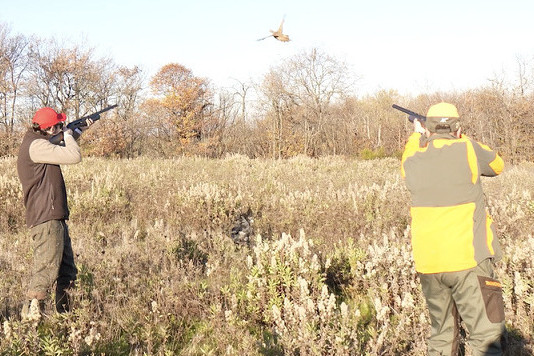 Franchi Affinity 3 X calibro 12: il video del test a caccia Franchi Affinity 3 X calibro 12 il video del test a caccia